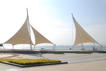 31省区市新增确诊40例/31省区市新增确诊20例8885