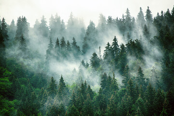必看教程“手机跑得快怎么让系统给你发好牌”(详细开挂教程)