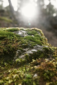 广东中山疫情/广东中山疫情症状有哪些